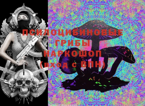 ПСИЛОЦИБИНОВЫЕ ГРИБЫ Наволоки