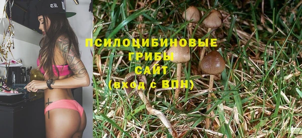 ПСИЛОЦИБИНОВЫЕ ГРИБЫ Наволоки